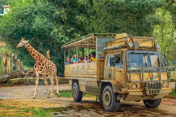 Chessington World of Adventures – Surrey